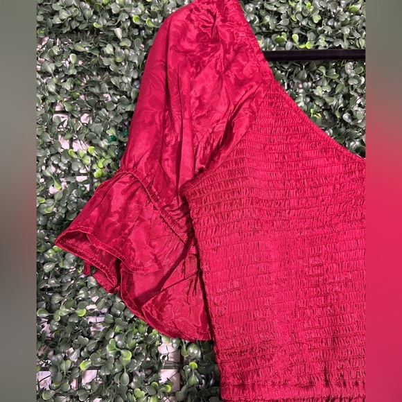 Band of Gypsies Lea Rhubarb Smocked Crop Top Size Large Red NWT - Picture 3 of 12